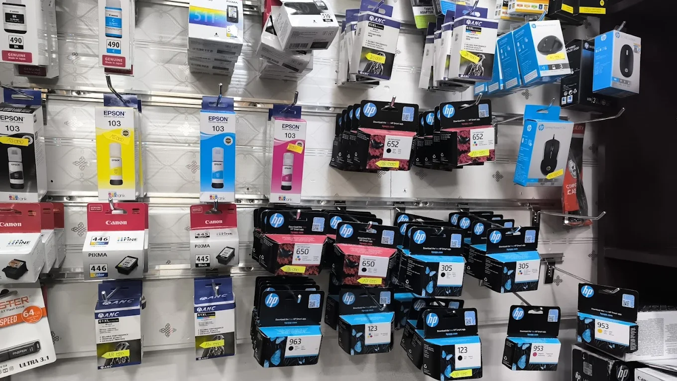 Équipe Professionnelle